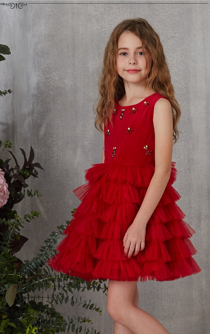 Burgundy Mini Princess Children's Prom Dress (FGD326)
